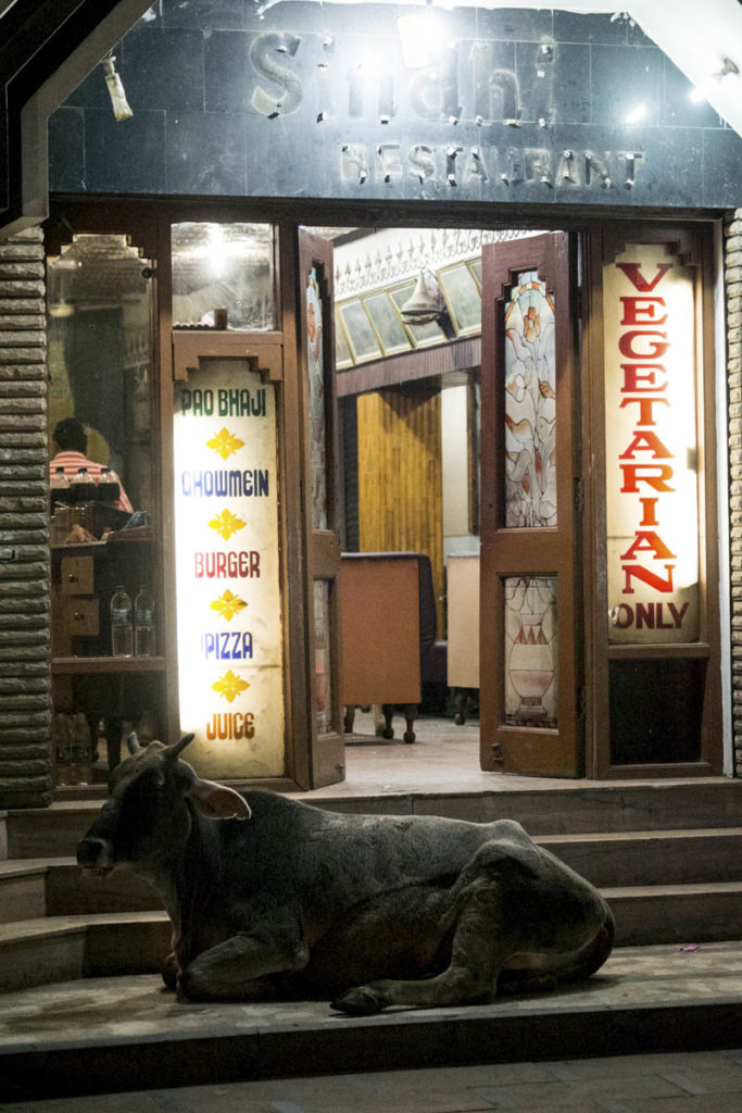 gallery-india (5)