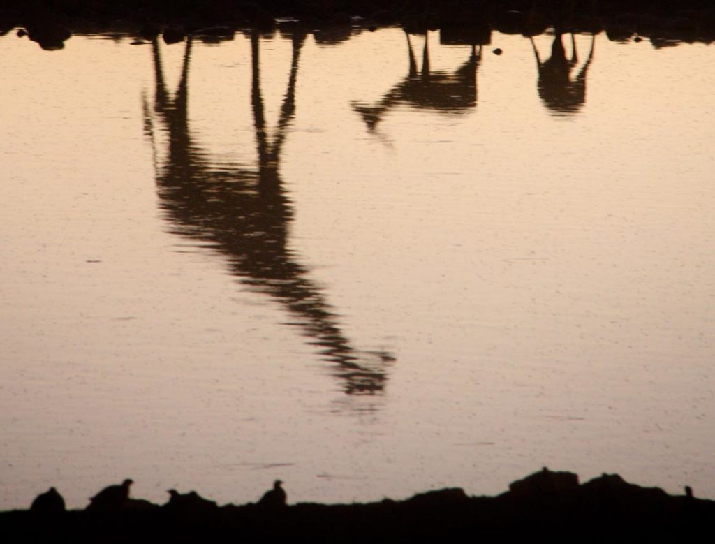 gallery-namibia (10)