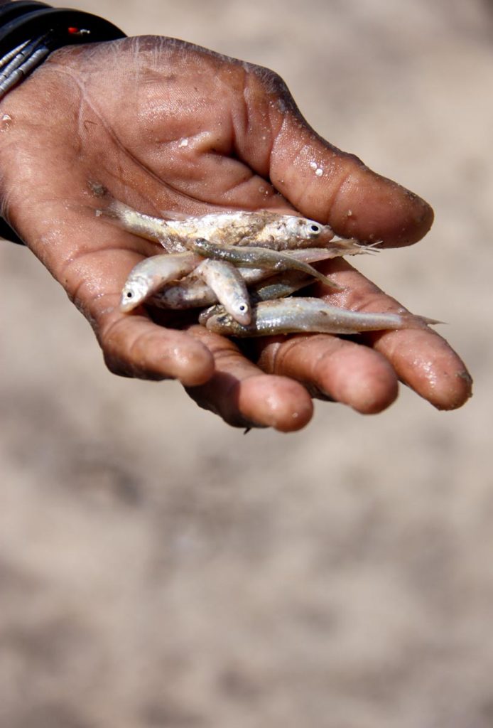 gallery-namibia (35)