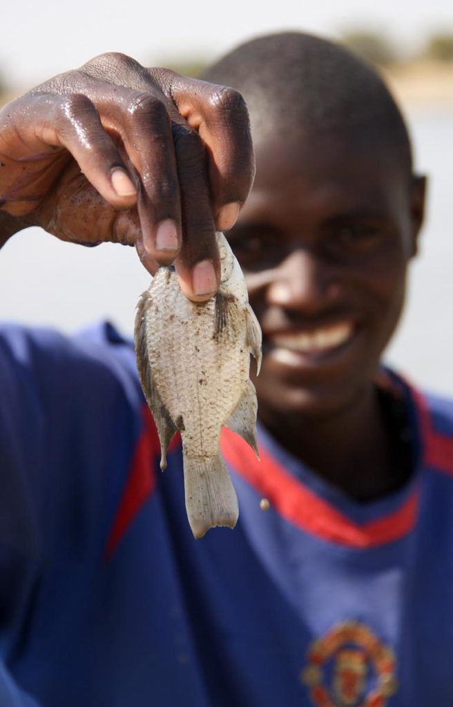 gallery-namibia (36)