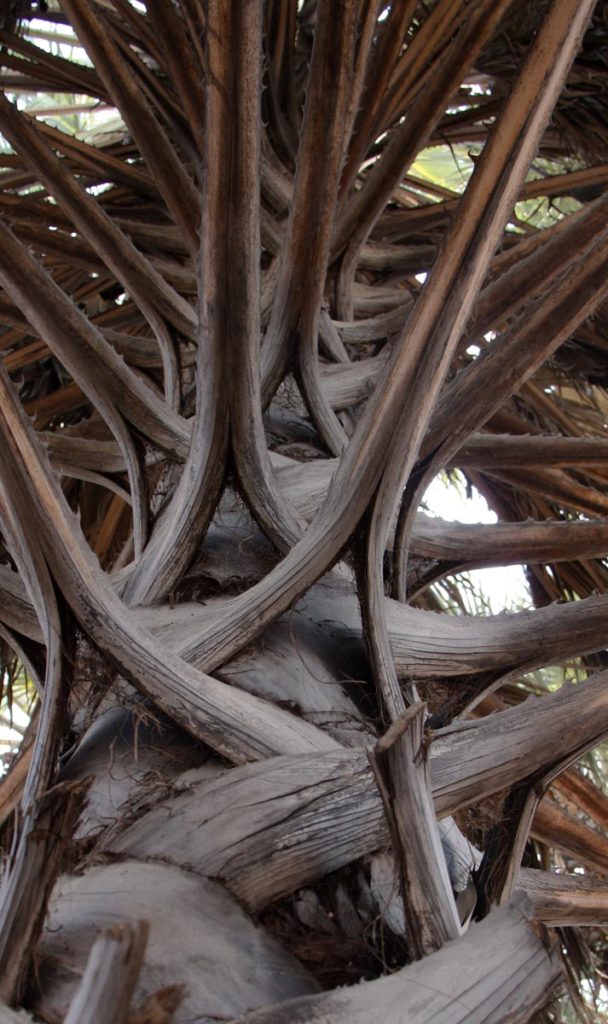 gallery-namibia (44)