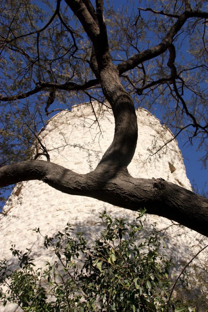 gallery-namibia (5)