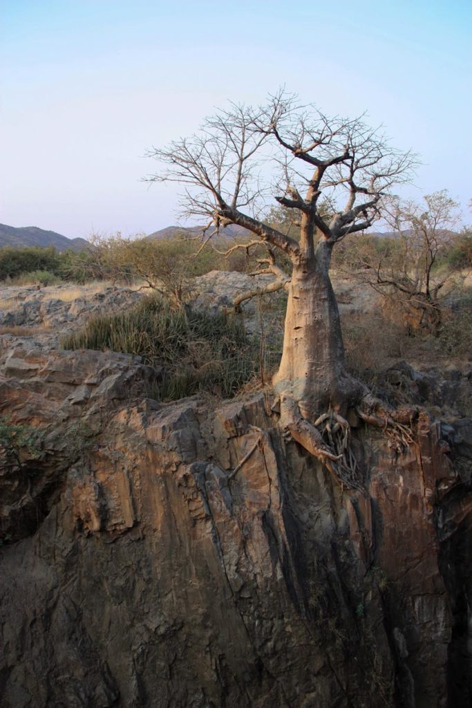 gallery-namibia (50)
