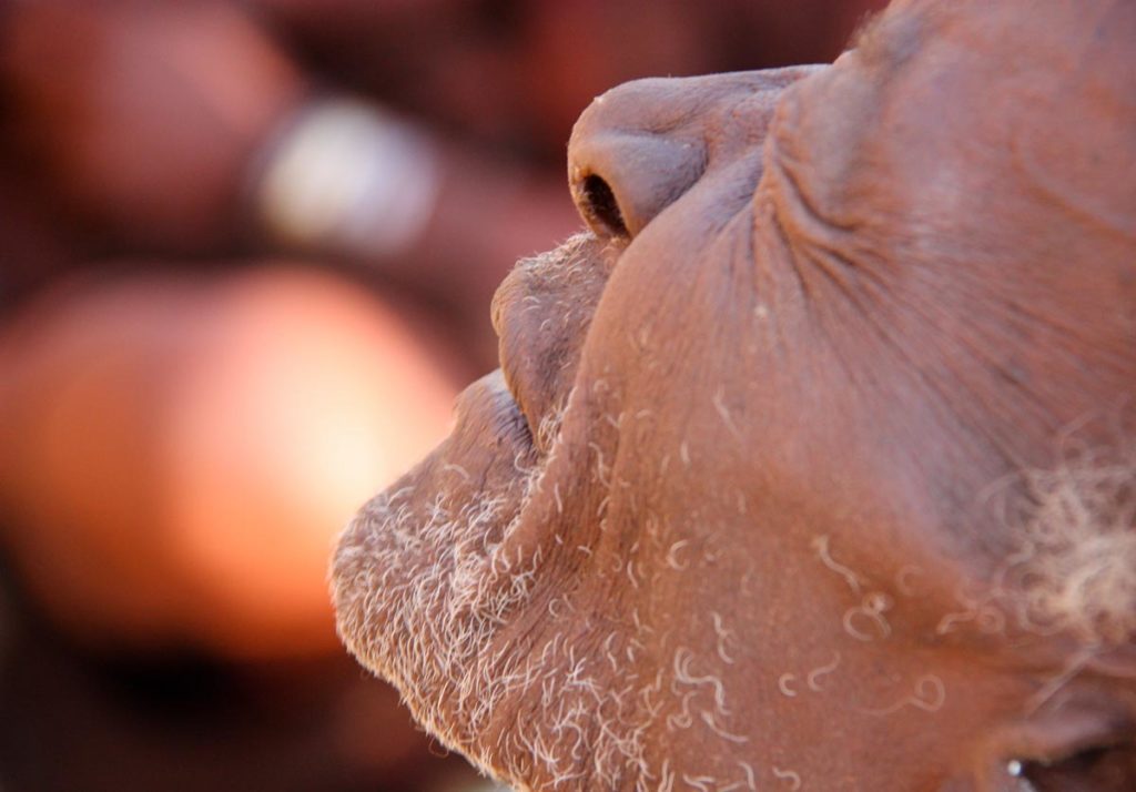 gallery-namibia (51)