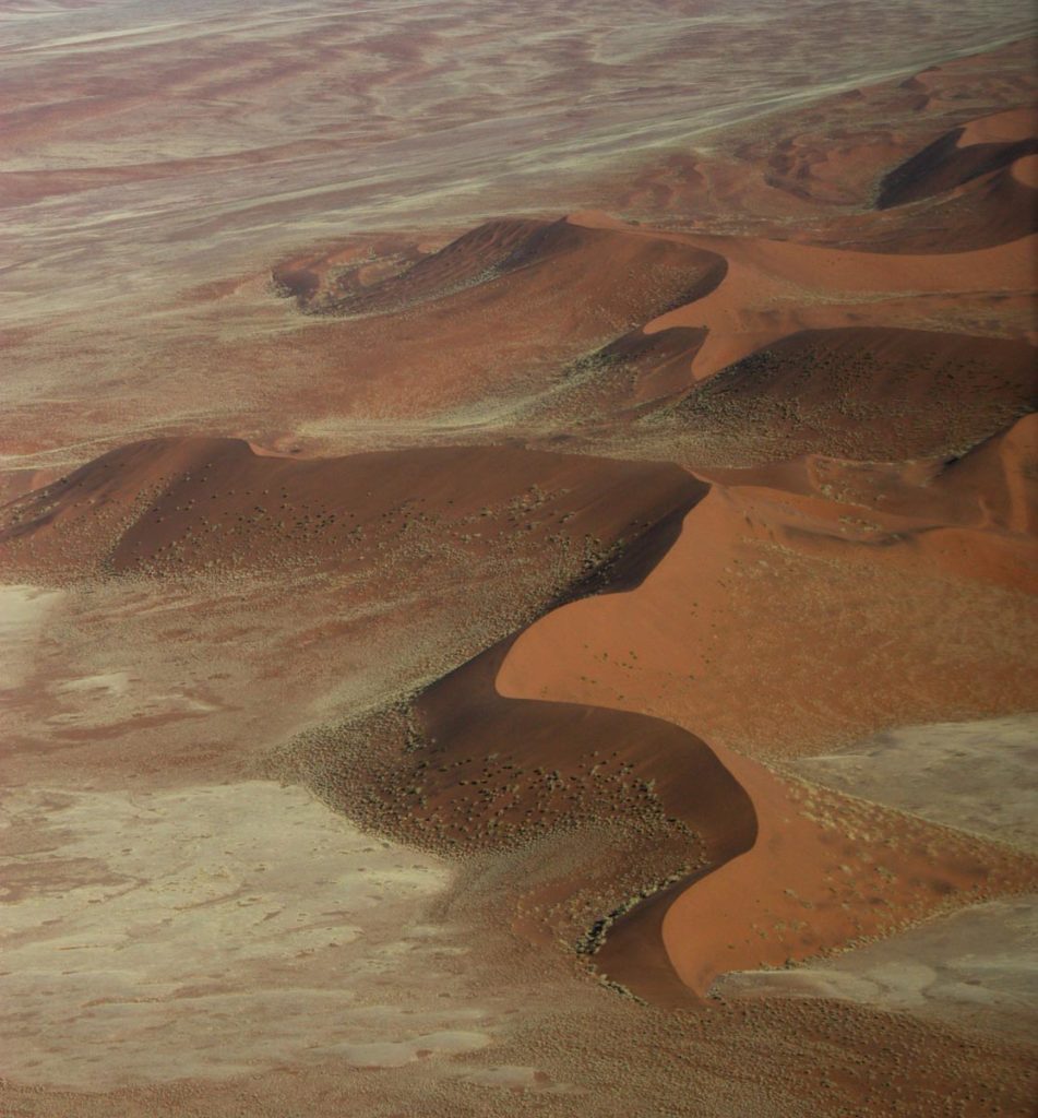 gallery-namibia (65)