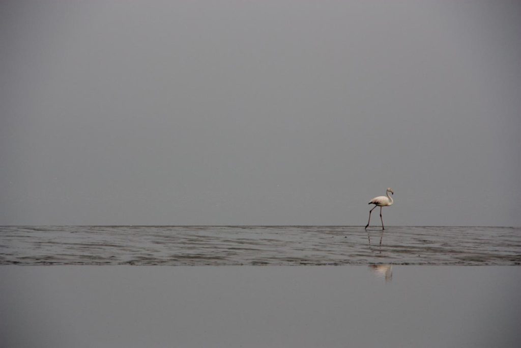 gallery-namibia (69)