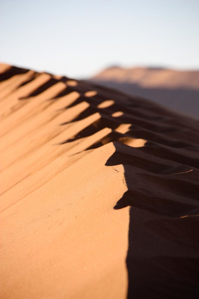 gallery-namibia (72)