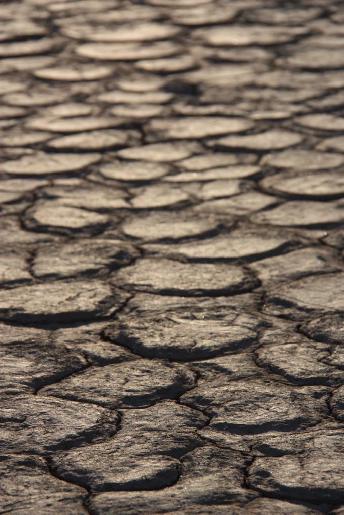 gallery-namibia (75)