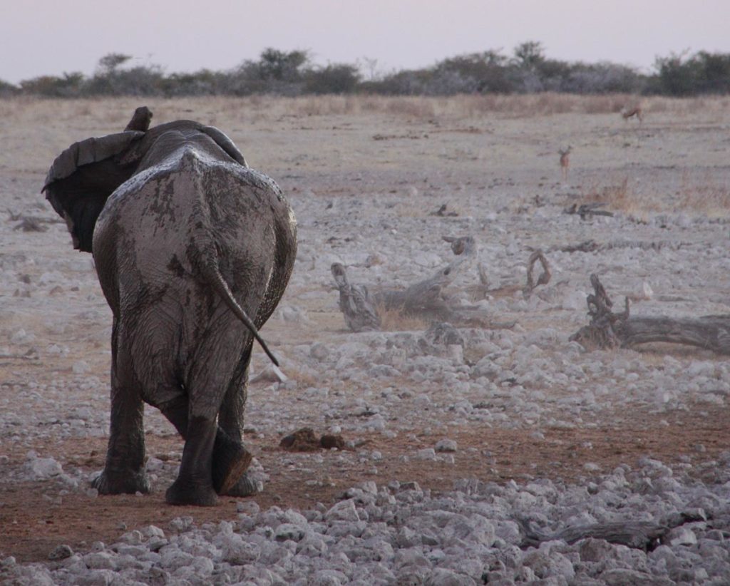 gallery-namibia (8)