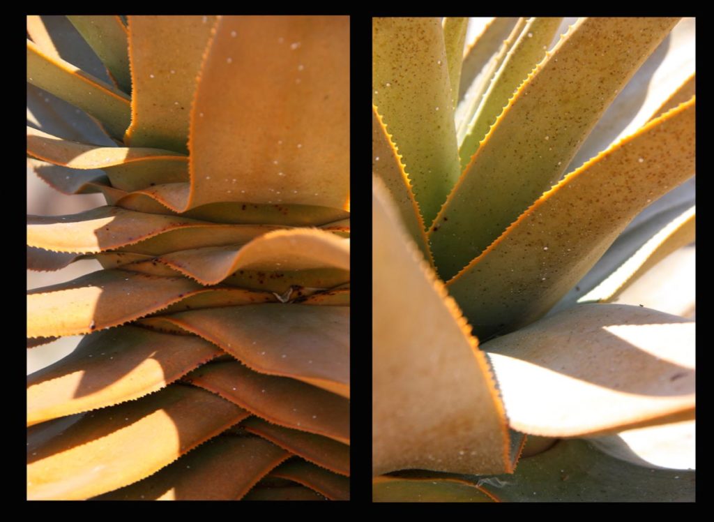 gallery-namibia (81)
