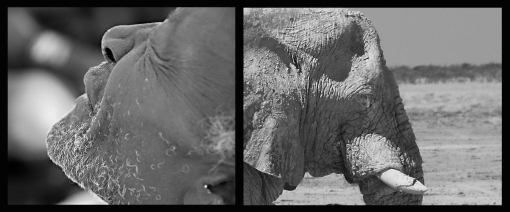 gallery-namibia (82)