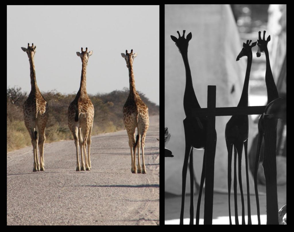gallery-namibia (83)