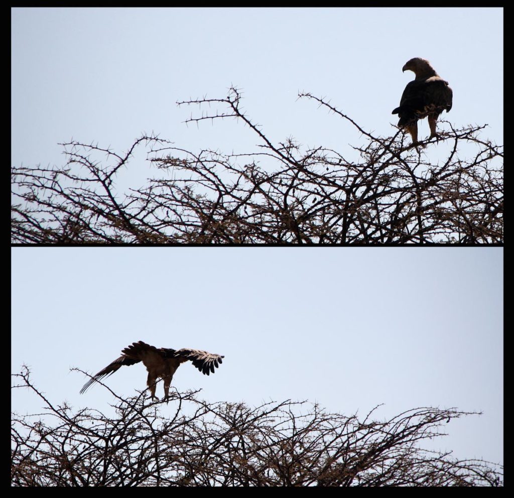 gallery-namibia (90)