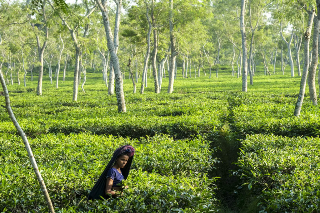 gallery-bangladesh (23)