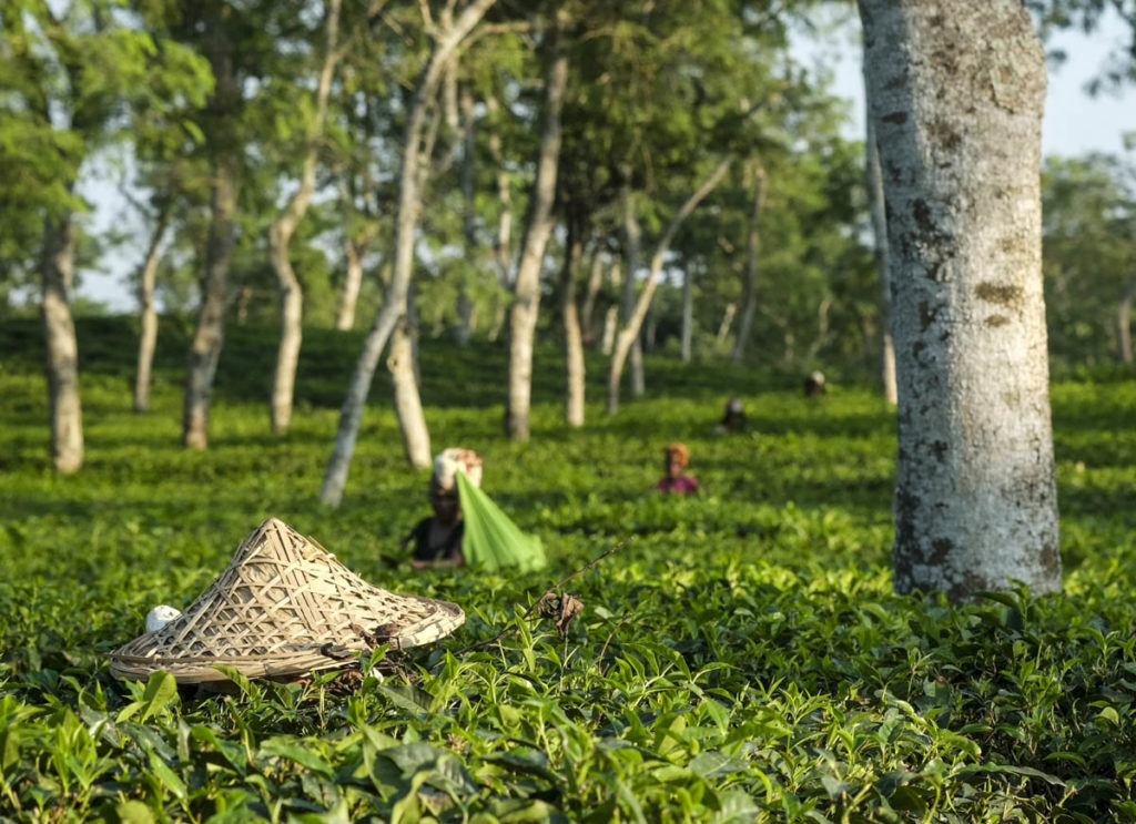 gallery-bangladesh (24)