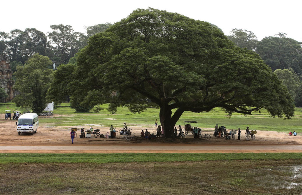 gallery-cambogia (20)
