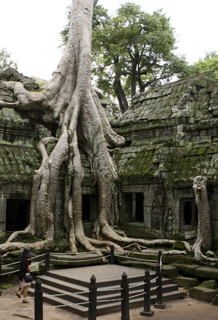 gallery-cambogia (26)