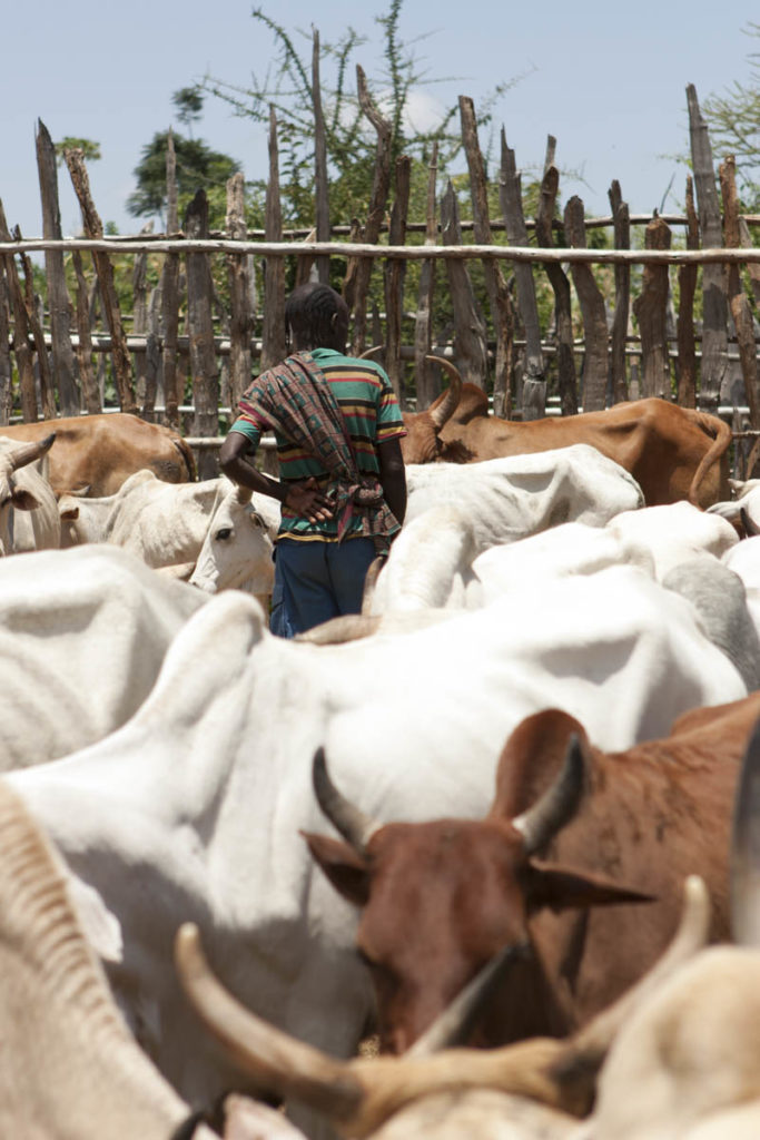 gallery-etiopia (21)