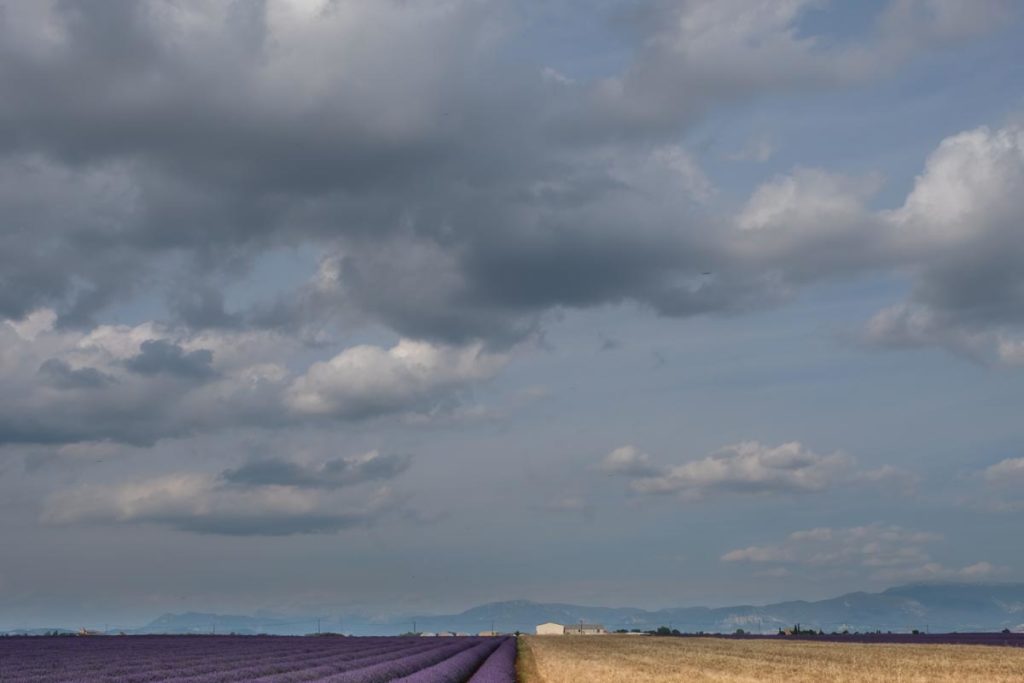 gallery-la-lavanda (19)