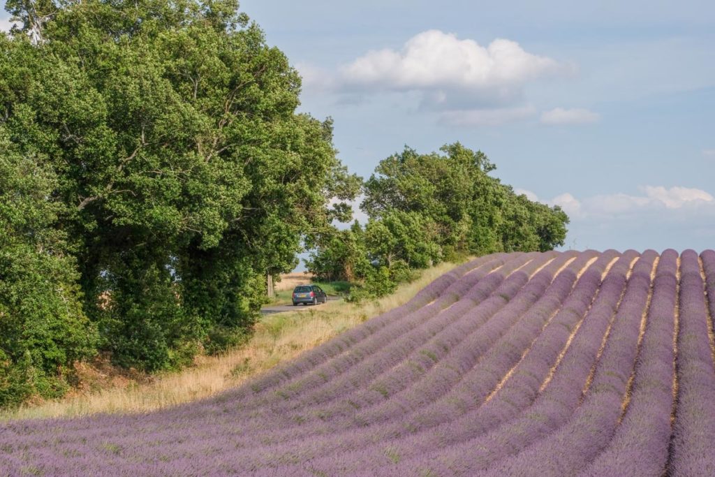 gallery-la-lavanda (23)