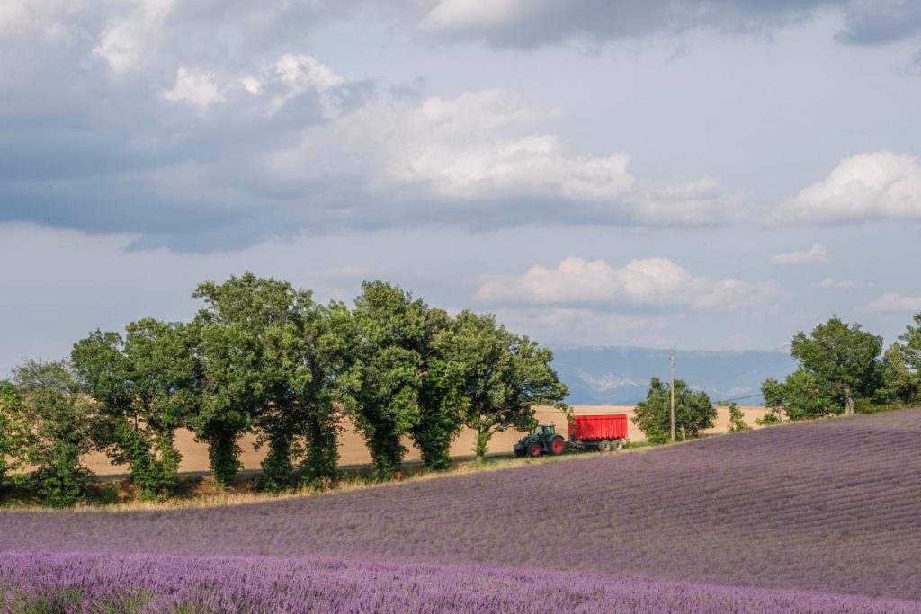 gallery-la-lavanda (25)