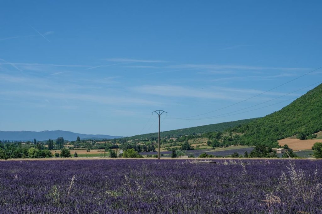 gallery-la-lavanda (32)