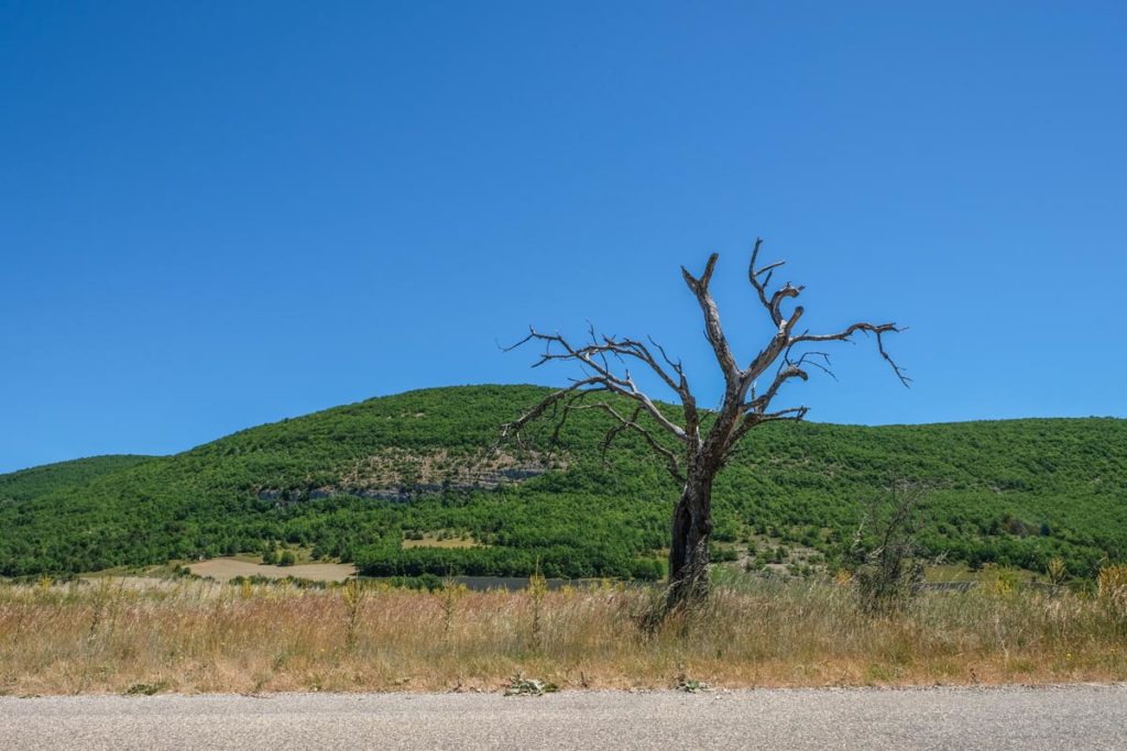 gallery-la-lavanda (37)