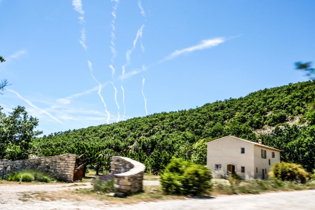 gallery-la-lavanda (39)