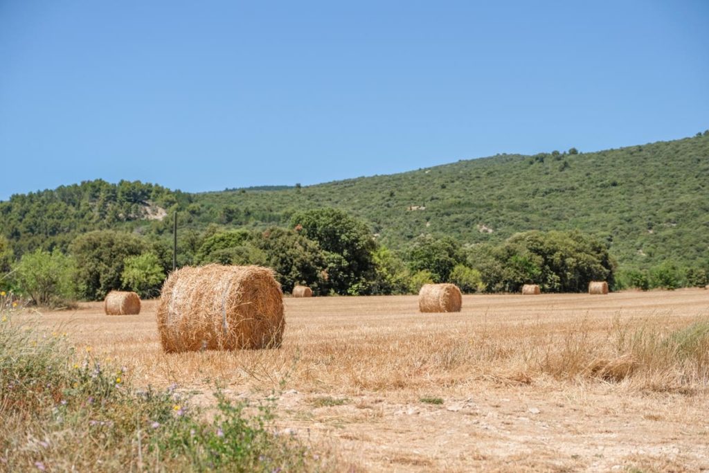 gallery-la-lavanda (40)