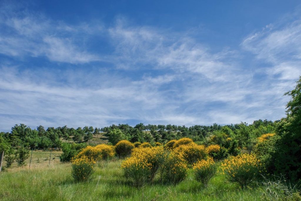 gallery-la-lavanda (53)