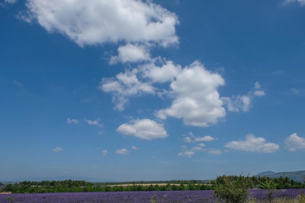 gallery-la-lavanda (78)