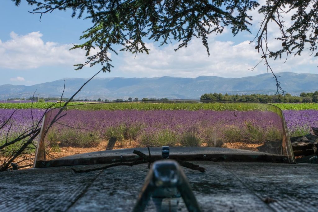 gallery-la-lavanda (90)