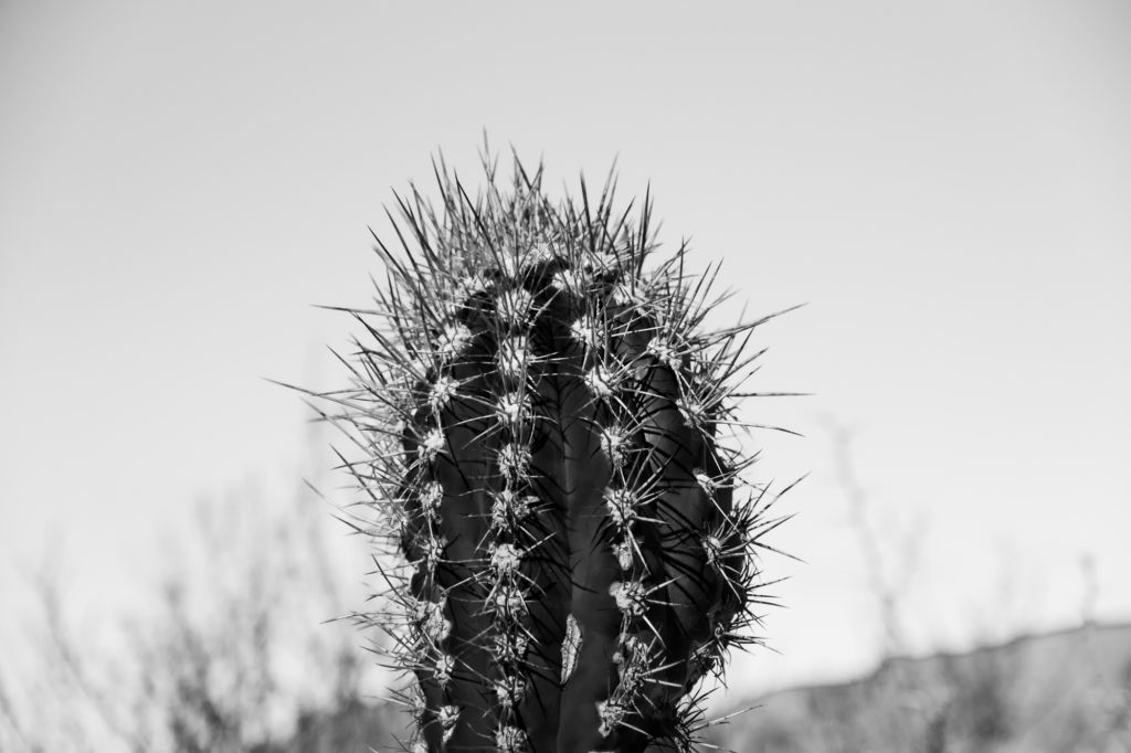DSCF3998